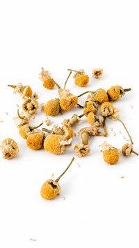 Chamomile Extract