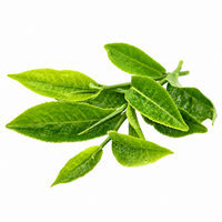 L-Theanine
